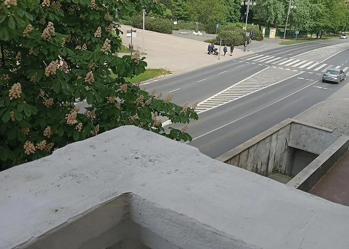 Centrum Podjasnogorski דירה צ'סטוצ'ובה